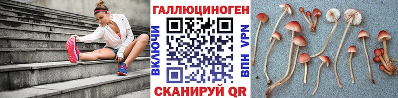 Псилоцибиновые грибы MAGIC MUSHROOMS Ардон